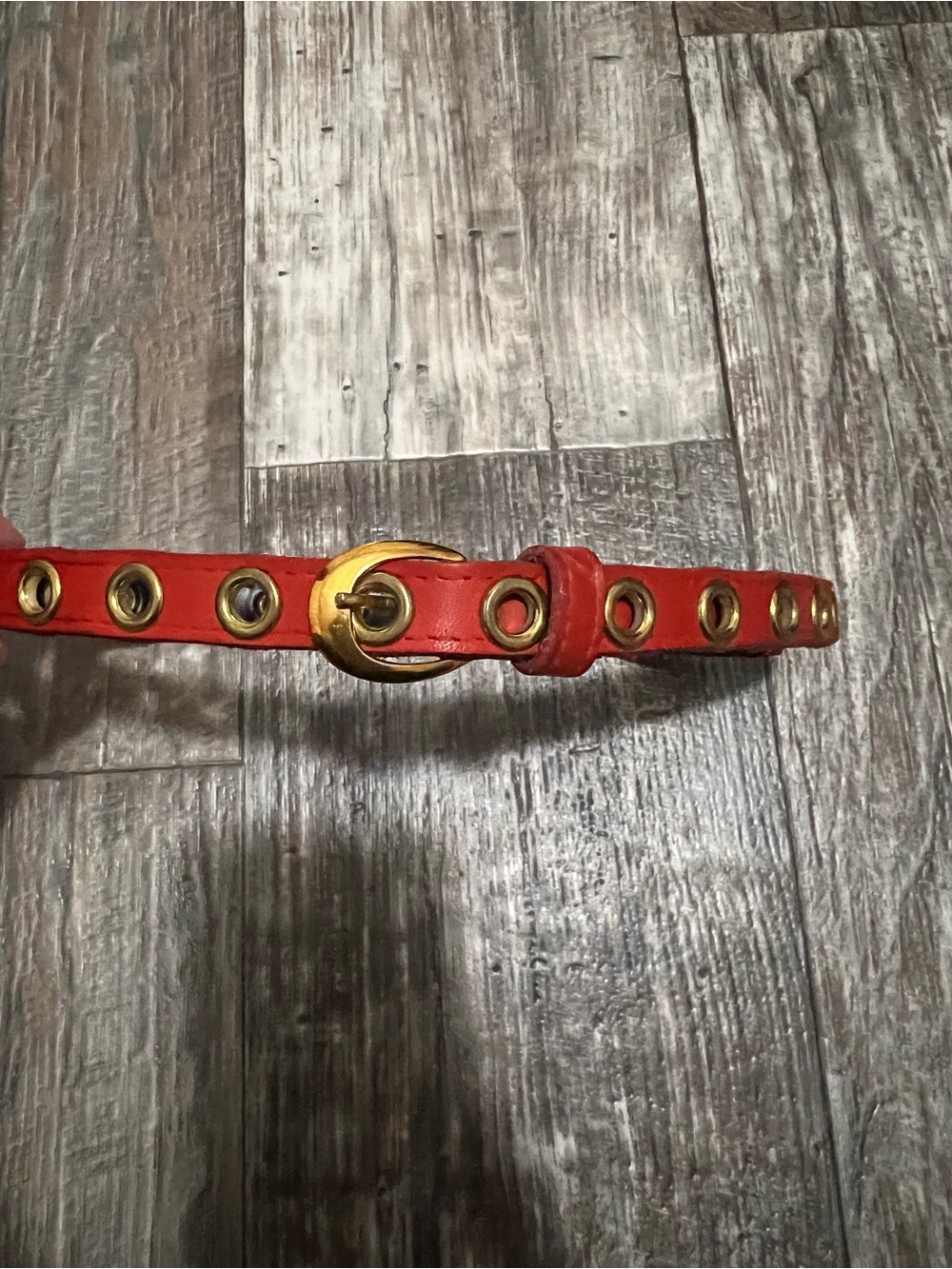 Red Leather Grommet Belt with Gold Buckle